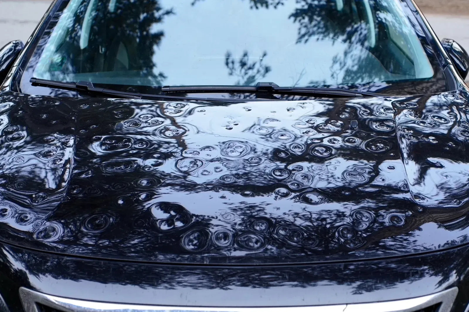 Hail & Storm Damage — Prime Auto Body, Savage MN